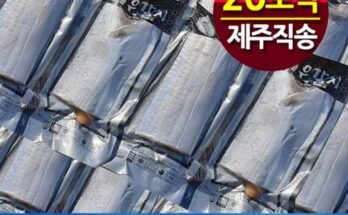 사용자 열광 리뷰 제주 특대 은갈치 20토막 총5마리 현명한 소비자의 선택