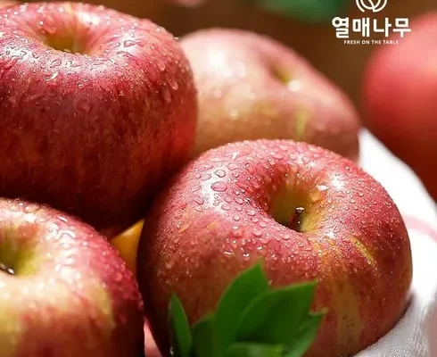 대세 히트상품 열매나무 특등급 사과 3kg 스마트한 구매 선택