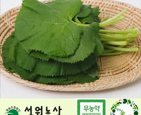 시장을 선도하는  강원도 인제 산마늘 500g곤달비500g 현명한 소비자의 선택