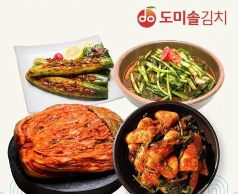 혁신적인 디자인 도미솔 김치 4종 사용자 만족 보장