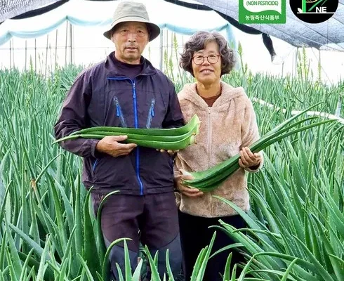 매력적인 신제품 알로에 사용자 만족 보장